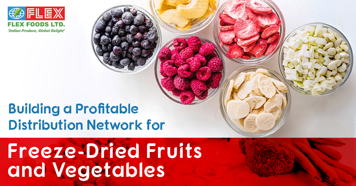 Key Challenges and Solutions for Distributors in the Global Freeze-Dried Fruit Supply Chain