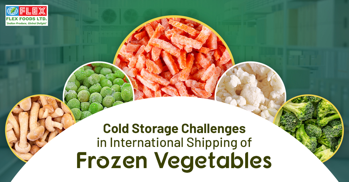 Cold Storage Challenges in International Shipping of Frozen Vegetables