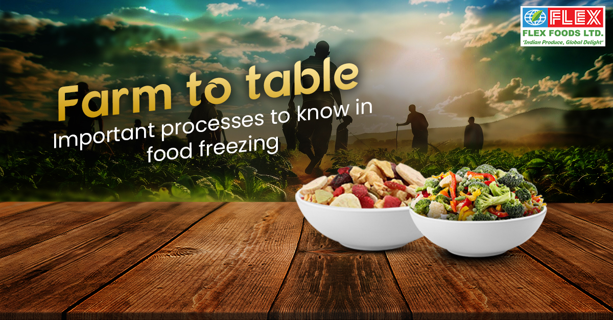 Farm to table: Important processes to know in food freezing