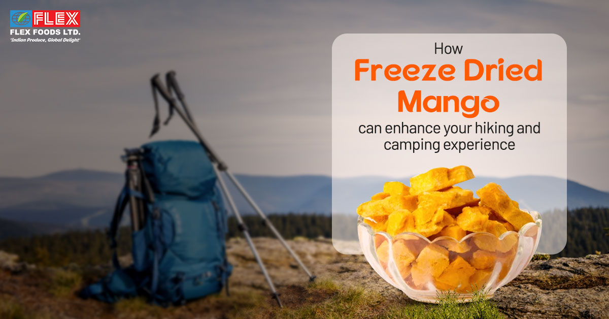 How Freeze-Dried Mango Can Enhance Your Hiking and Camping Experience?