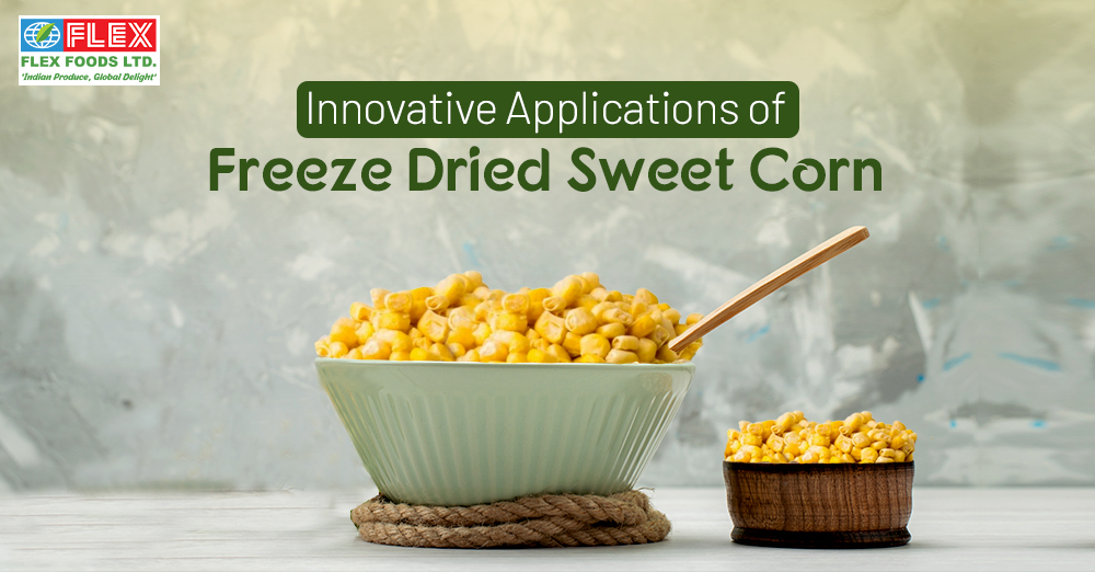 Innovative Applications of Freeze-Dried Sweet Corn