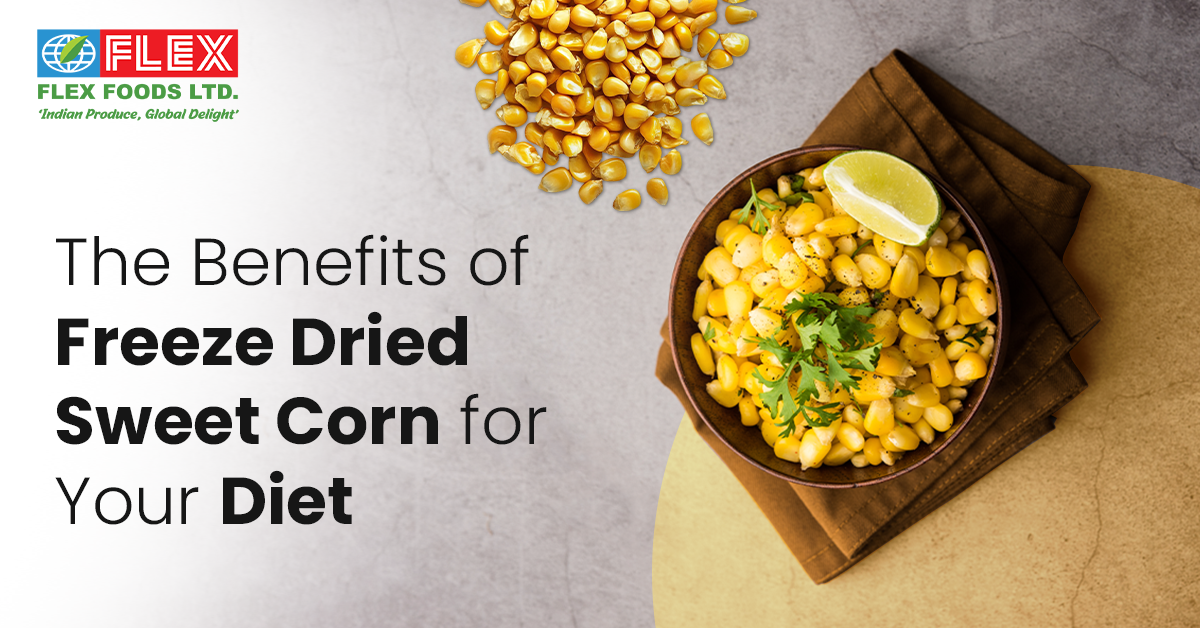 The Benefits of Freeze-Dried Sweet Corn for Your Diet