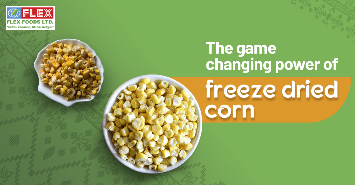 The game-changing power of freeze-dried corn