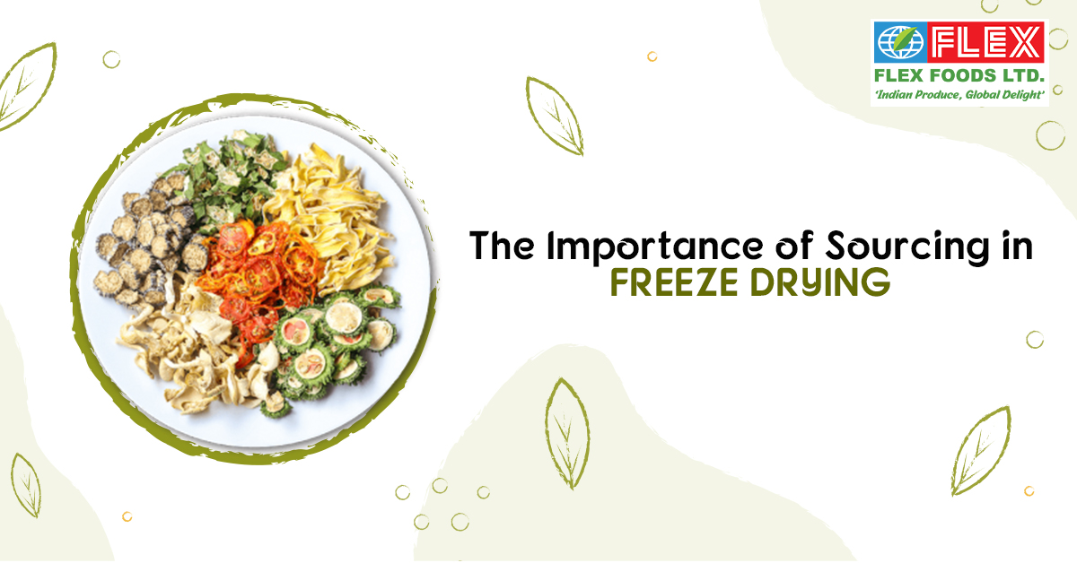 The Importance of Sourcing in Freeze Drying