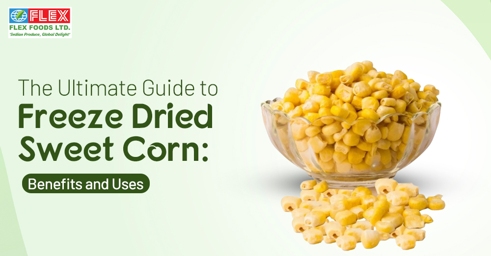 The Ultimate Guide to Freeze-Dried Sweet Corn: Benefits and Uses