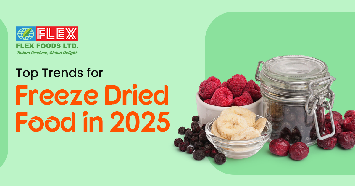 Top Trends for Freeze-Dried Food in 2025