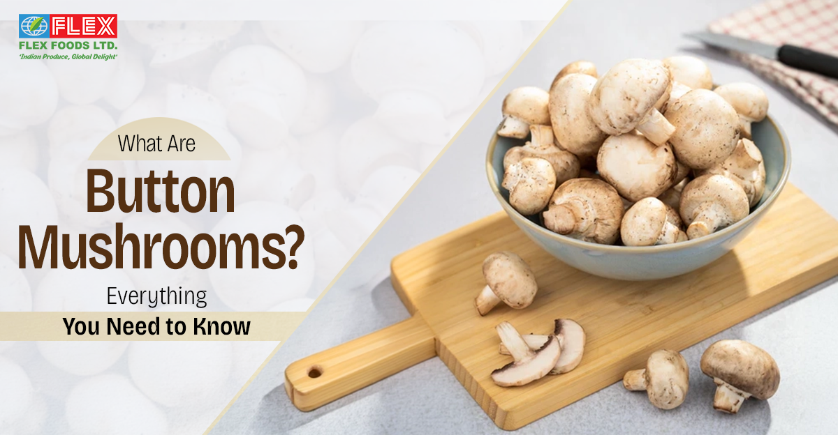 What Are Button Mushrooms: Everything You Need to Know
